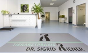 Beruhigende Ordinationsräume der Praxis - Tierarztpraxis Dr. Sigrid Riener