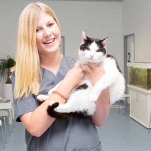 Sandra Stangl Tierpflegerin und Ordinationsassistentin - Tierarztpraxis Dr. Sigrid Riener