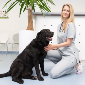Dr. med. vet. Sigrid Riener Tierärztin - Tierarztpraxis Dr. Sigrid Riener