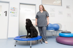 Physiotherapie für Hunde und Katzen - Tierarztpraxis Dr. Sigrid Riener
