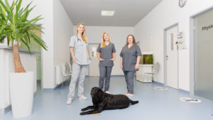 Vorstellung der Praxis für Sie und Ihr Tier - Tierarztpraxis Dr. Sigrid Riener