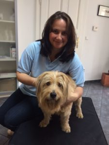 Chiropraktik und Akupunktur für Tiere - Tierarztpraxis Dr. Sigrid Riener