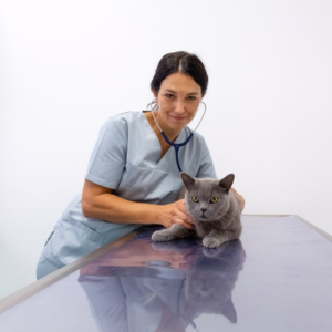 Dr.-med.-vet.-Claudia-Scharmer-Tierarztpraxis-Riener